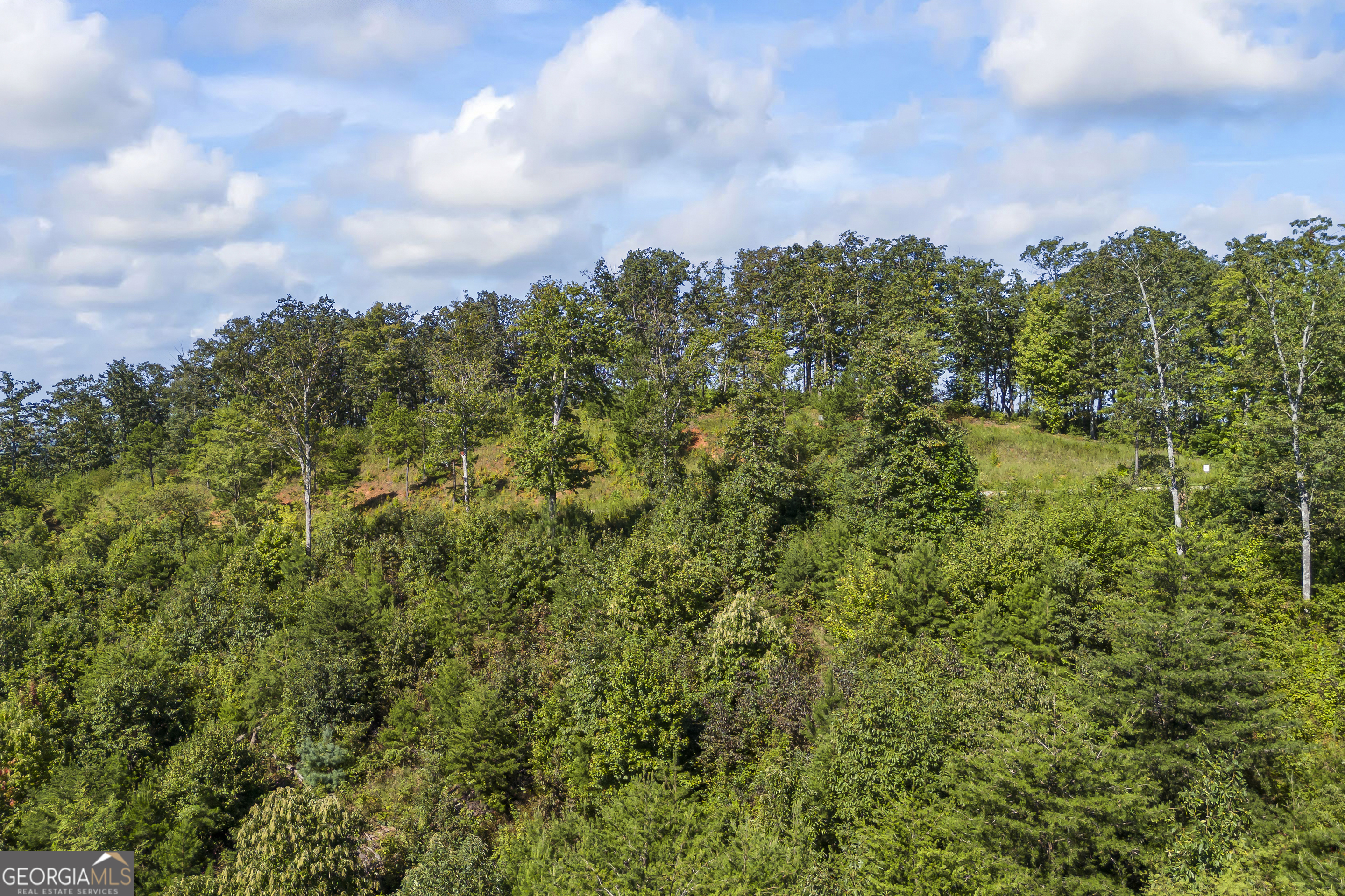 Lot 36 Mountain Ridge Drive Clarkesville, GA 30523 - Photo 19 of 35 a view of a bunch of trees