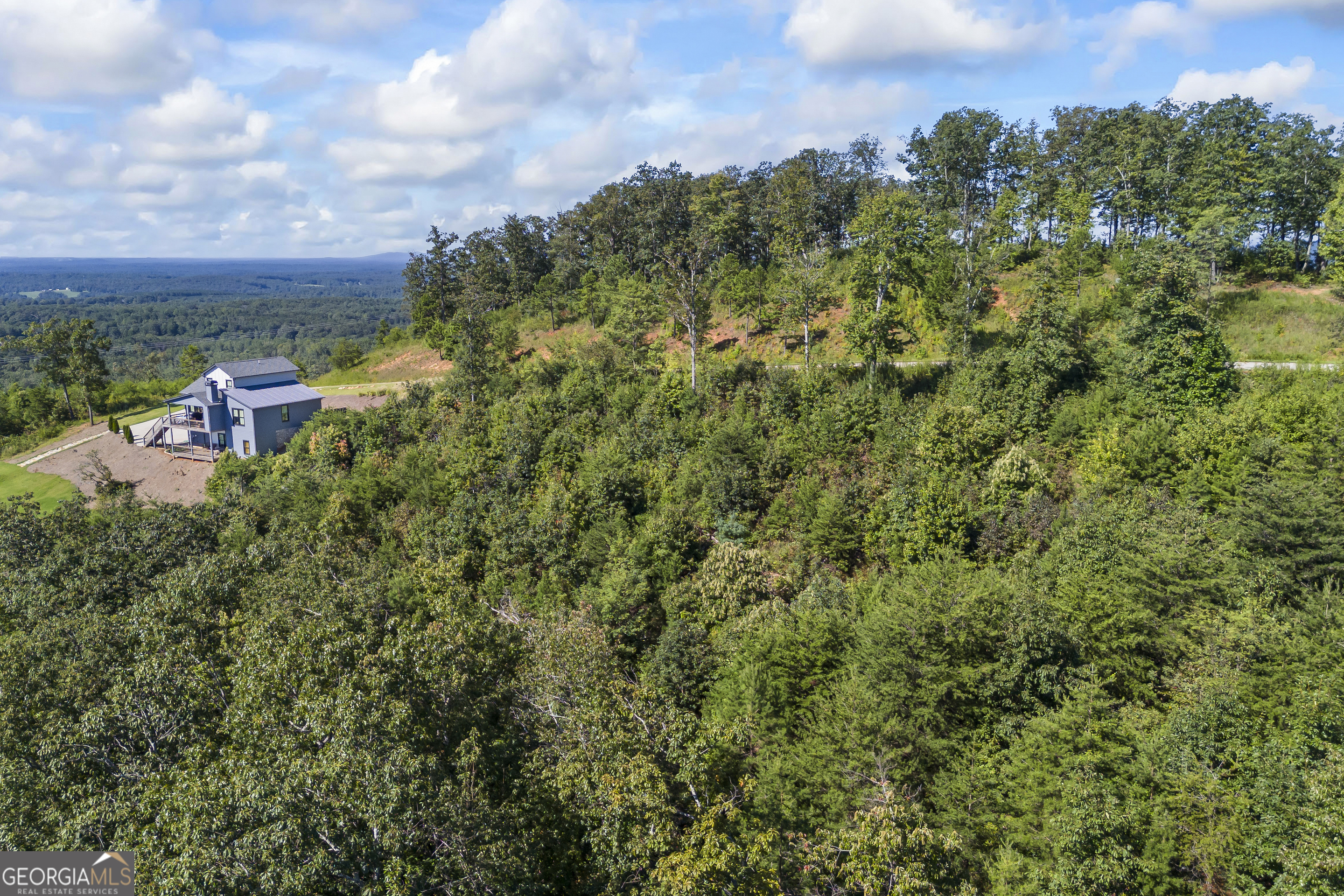 Lot 36 Mountain Ridge Drive Clarkesville, GA 30523 - Photo 20 of 35 a view of a garden with a building in the background