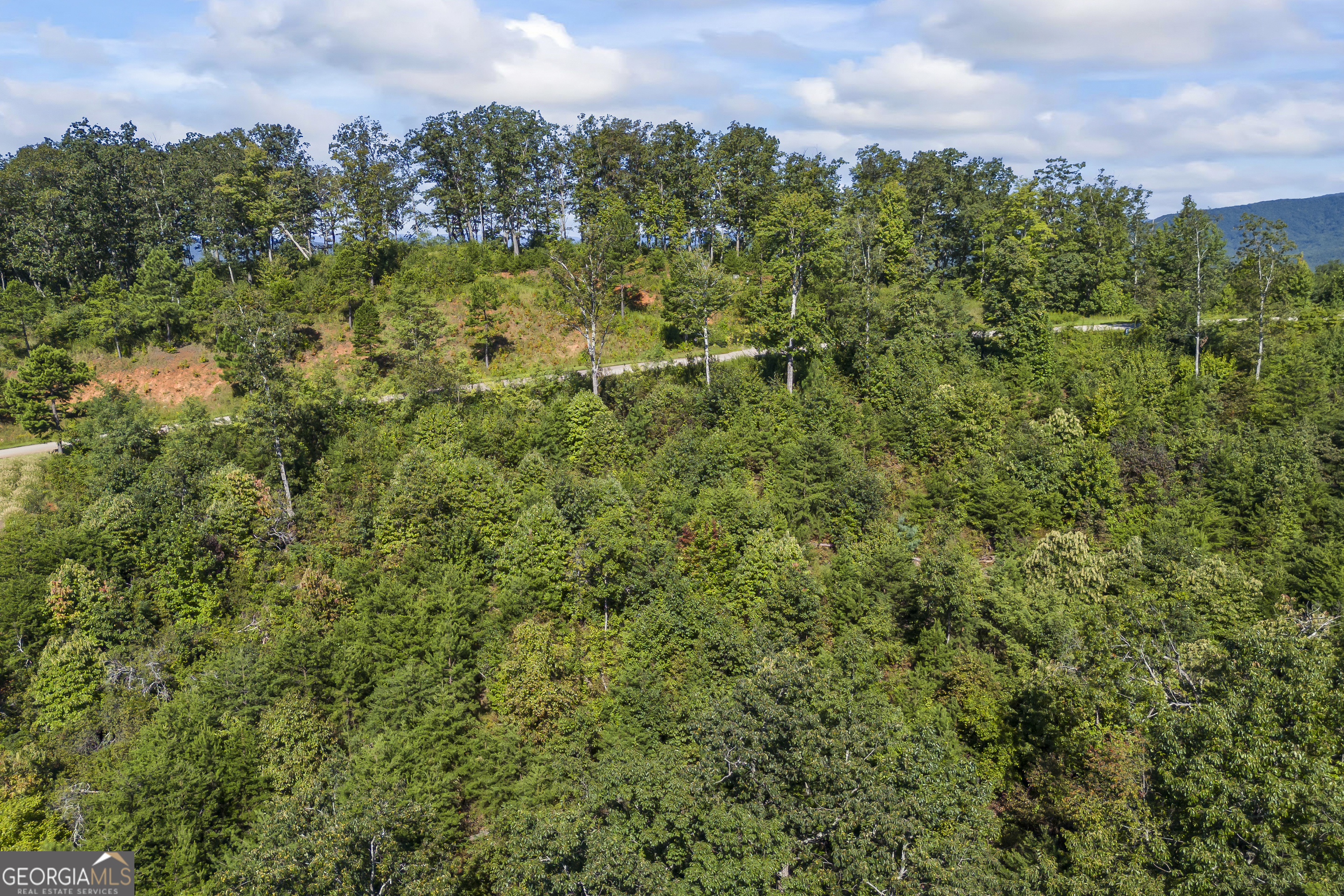 Lot 36 Mountain Ridge Drive Clarkesville, GA 30523 - Photo 21 of 35 a view of a bunch of trees and bushes