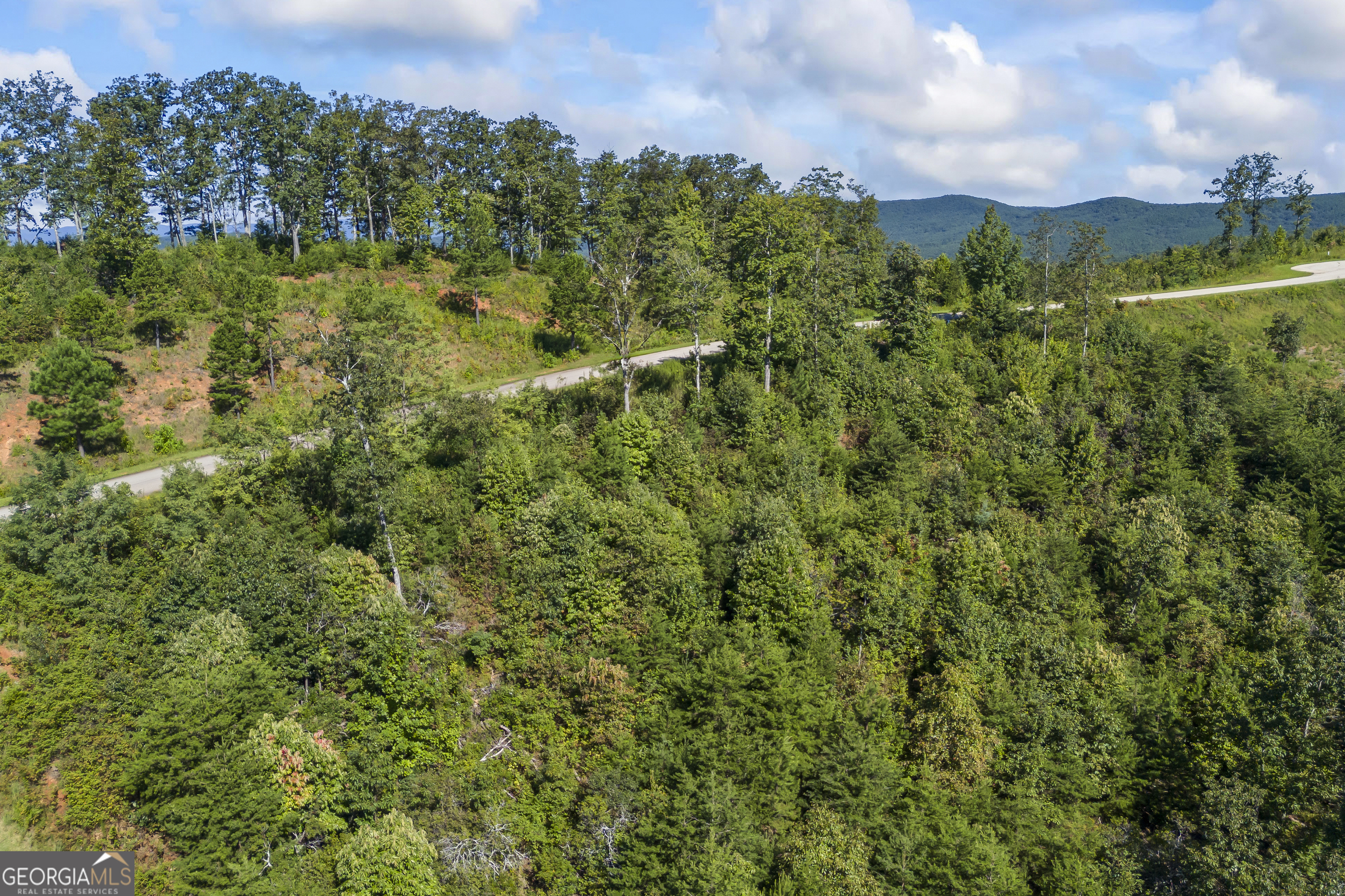 Lot 36 Mountain Ridge Drive Clarkesville, GA 30523 - Photo 22 of 35 a view of a city