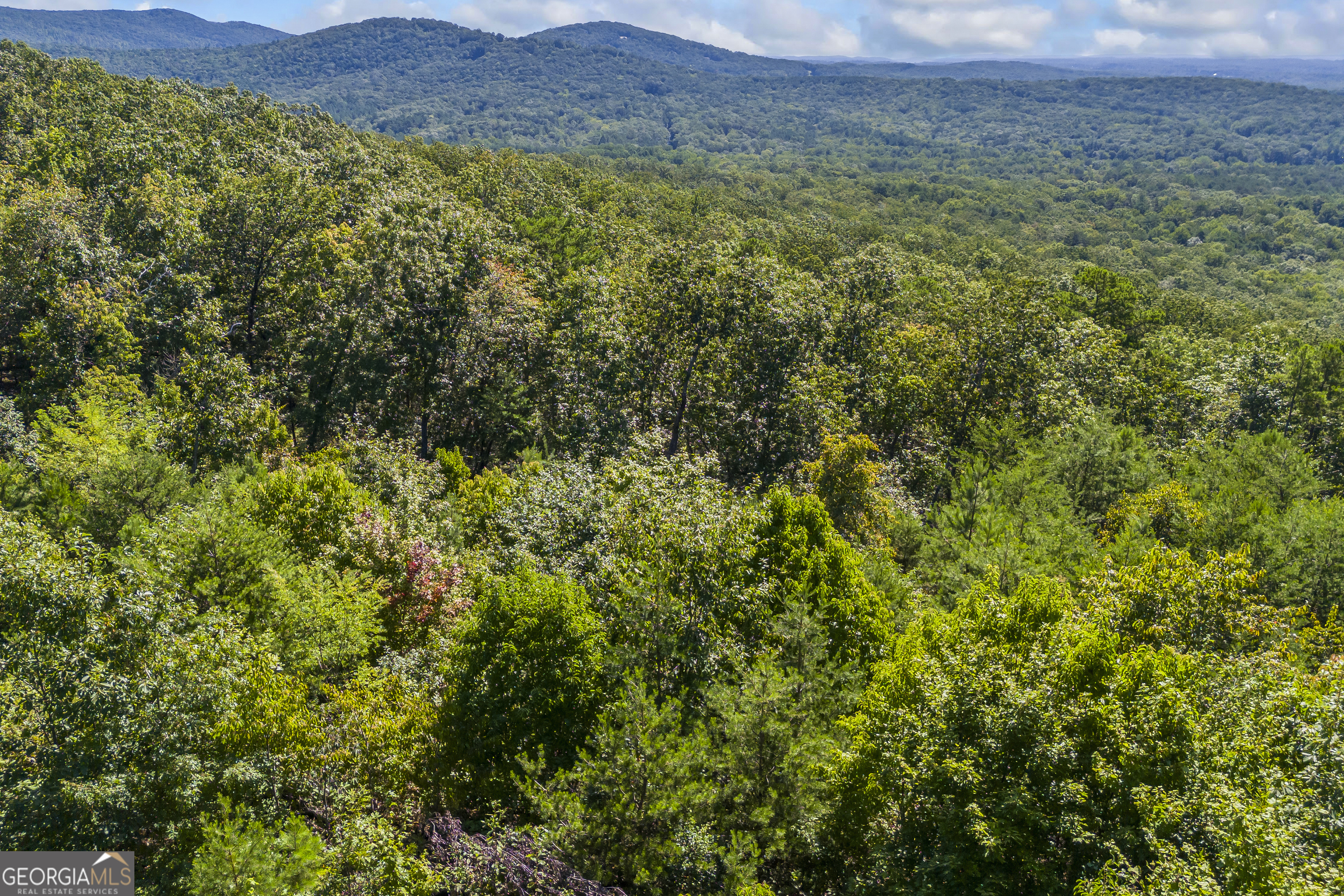 Lot 36 Mountain Ridge Drive Clarkesville, GA 30523 - Photo 23 of 35 a view of a lush green forest with trees and some houses
