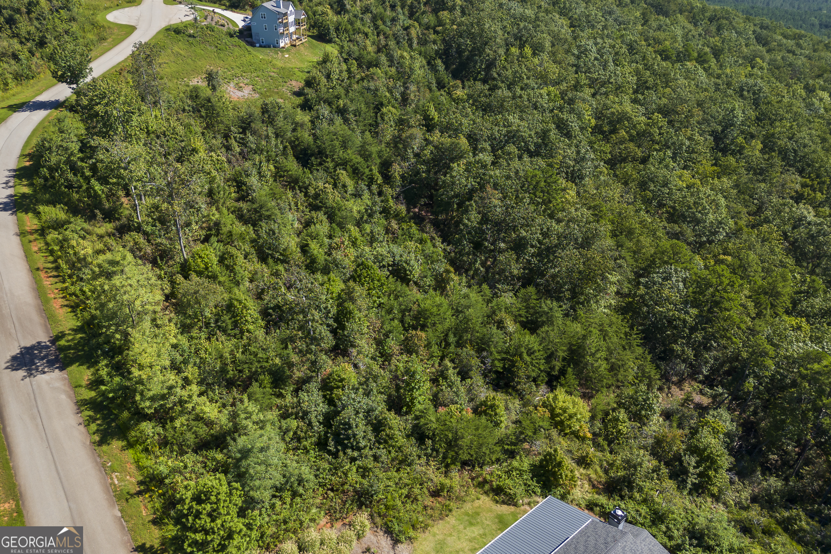 Lot 36 Mountain Ridge Drive Clarkesville, GA 30523 - Photo 25 of 35 a view of a lush green forest with large trees