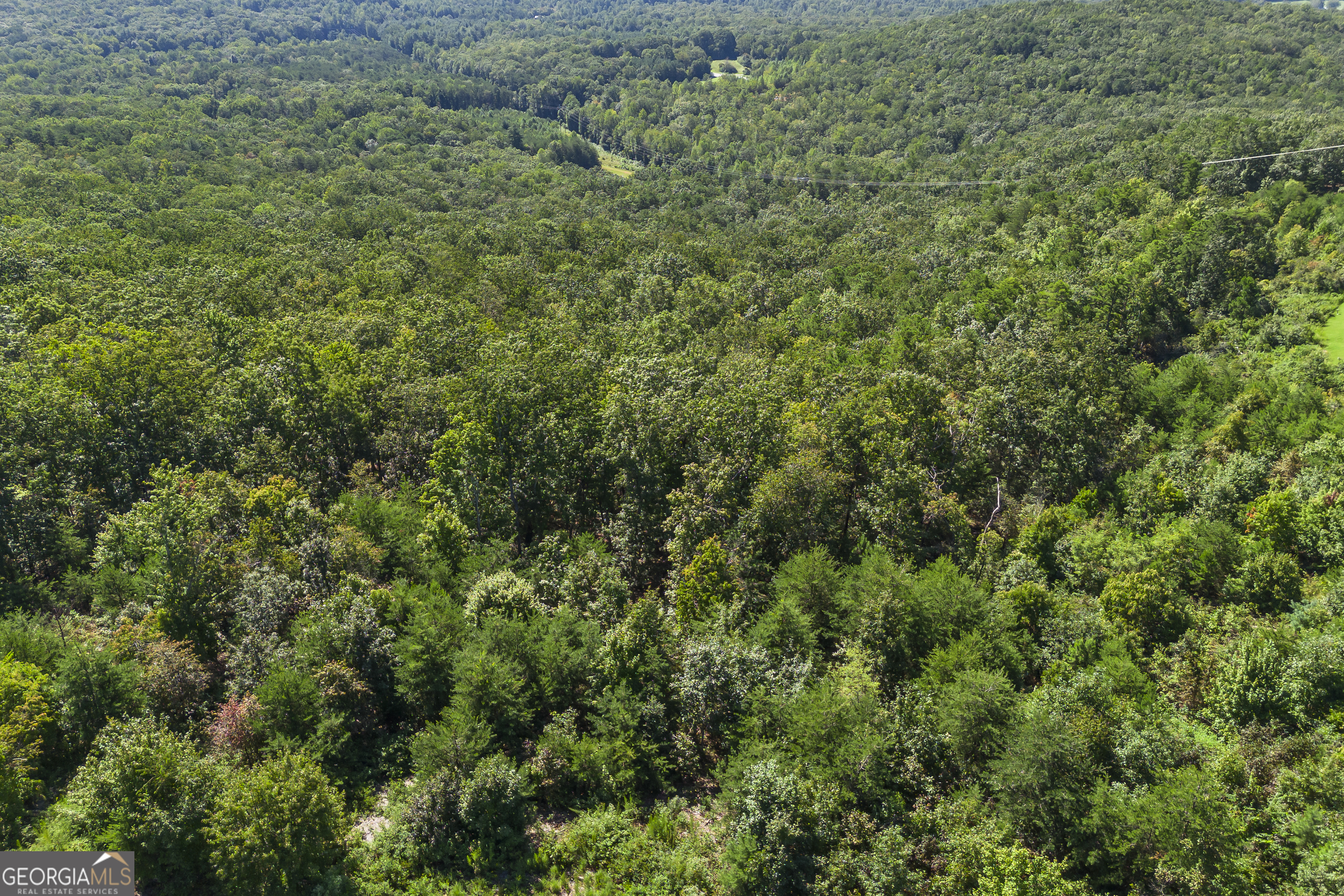 Lot 36 Mountain Ridge Drive Clarkesville, GA 30523 - Photo 27 of 35 a view of a large yard with lots of green space
