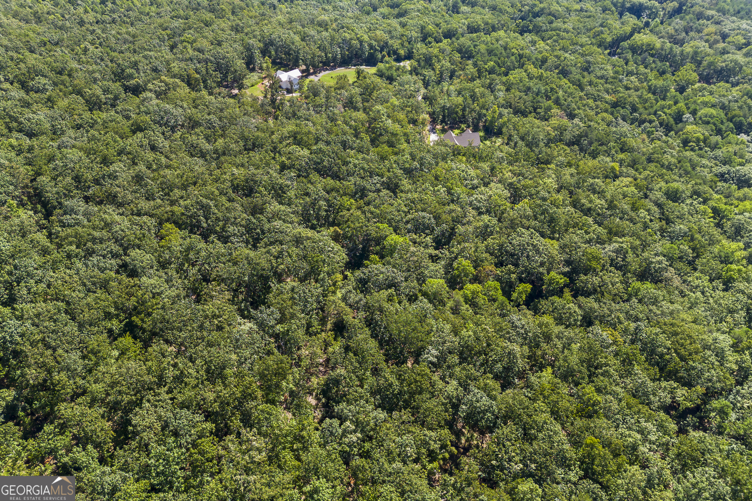 Lot 36 Mountain Ridge Drive Clarkesville, GA 30523 - Photo 29 of 35 a view of a forest with a building