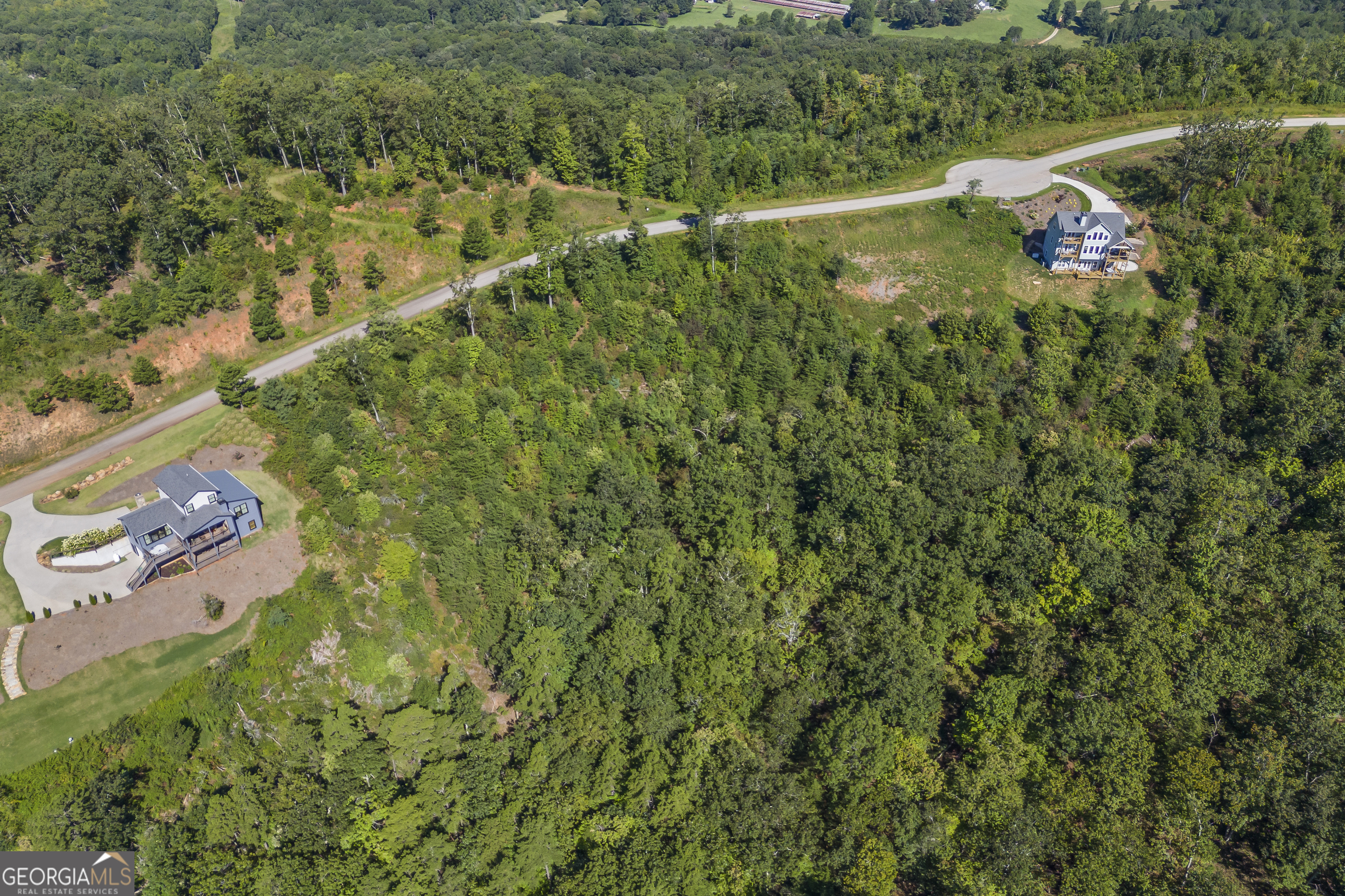 Lot 36 Mountain Ridge Drive Clarkesville, GA 30523 - Photo 30 of 35 a view of a lush green forest with lots of trees