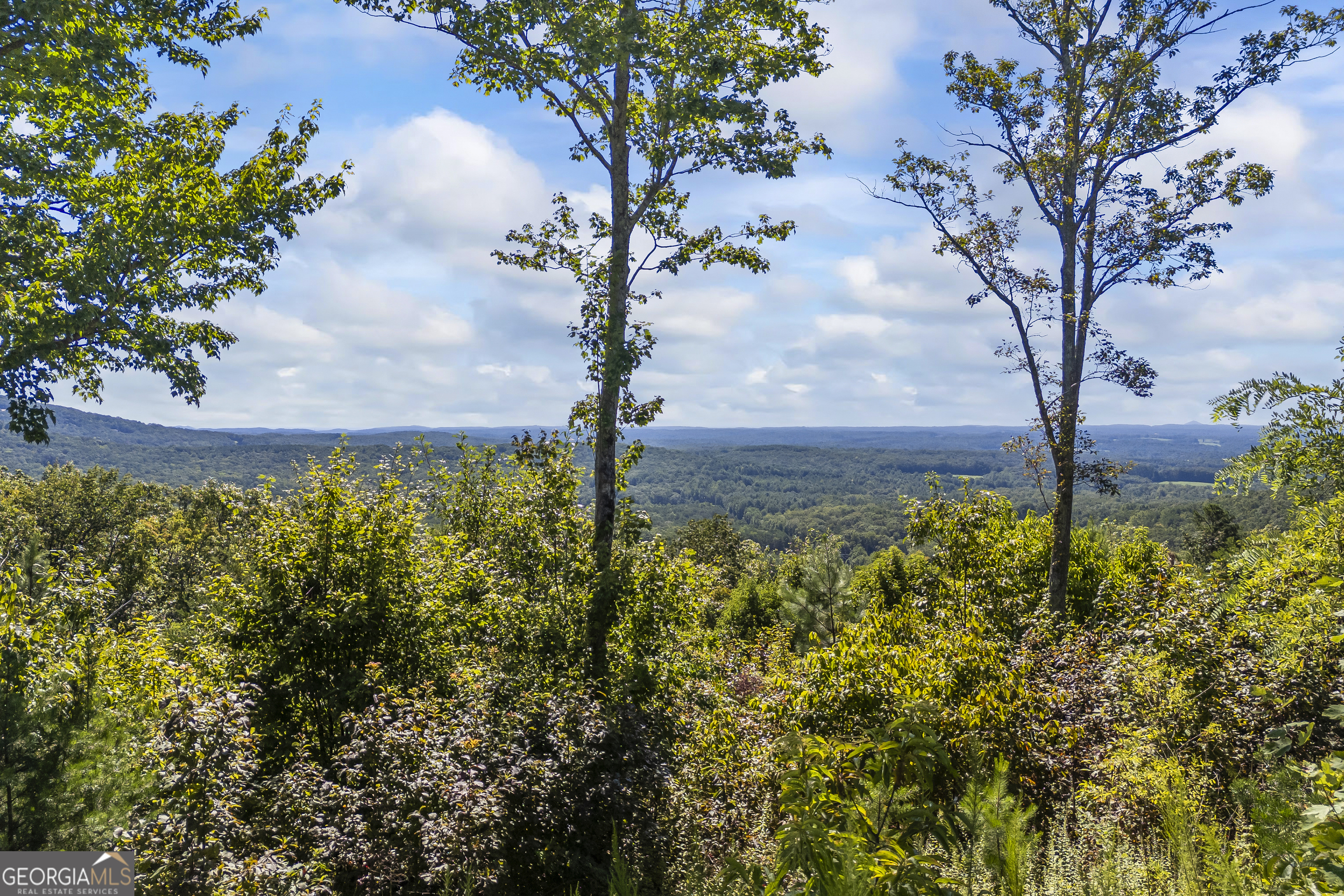 Lot 36 Mountain Ridge Drive Clarkesville, GA 30523 - Photo 32 of 35 a view of a yard