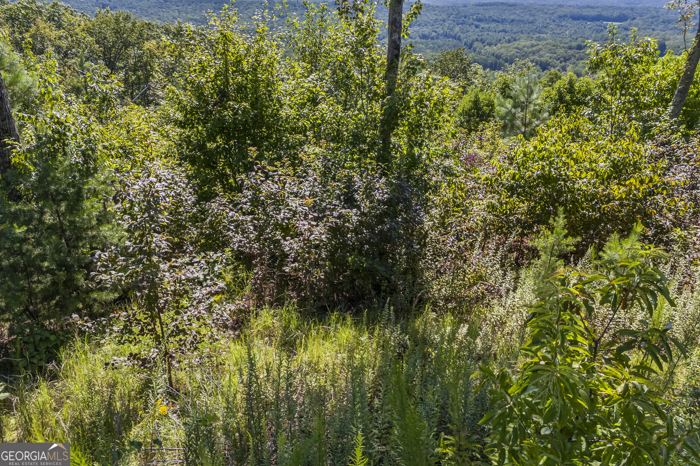 Lot 36 Mountain Ridge Drive Clarkesville, GA 30523 - Photo 33 of 35 a view of a yard