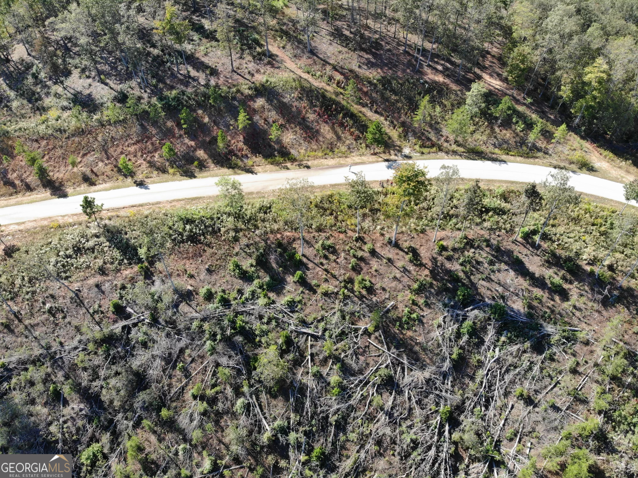 Lot 36 Mountain Ridge Drive Clarkesville, GA 30523 - Photo 34 of 35 a view of a yard with a tree