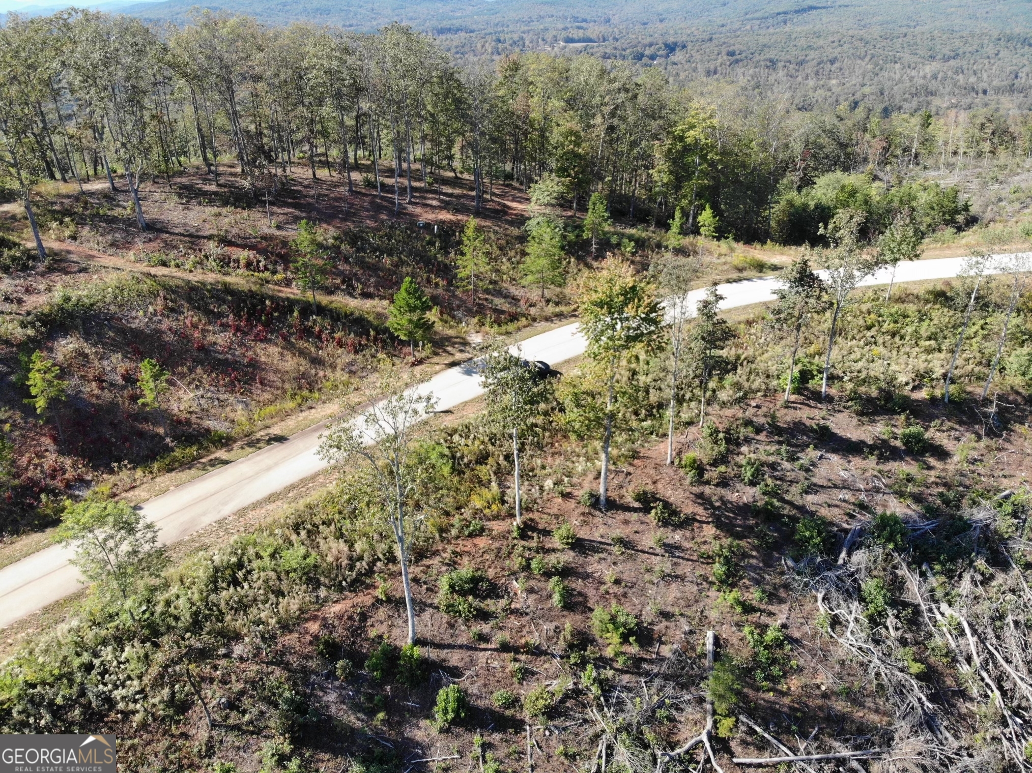 Lot 36 Mountain Ridge Drive Clarkesville, GA 30523 - Photo 35 of 35 a view of a yard with a tree