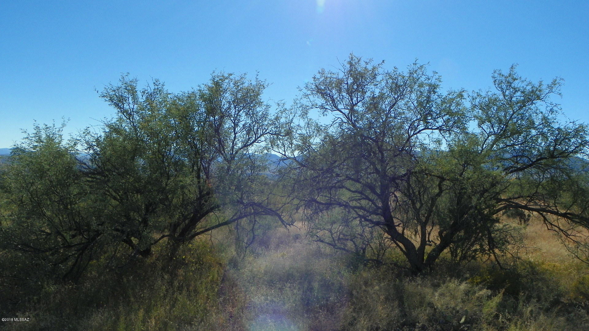 1819 Via Elias, Unit 13 Rio Rico, AZ 85648 - Photo 2 of 2