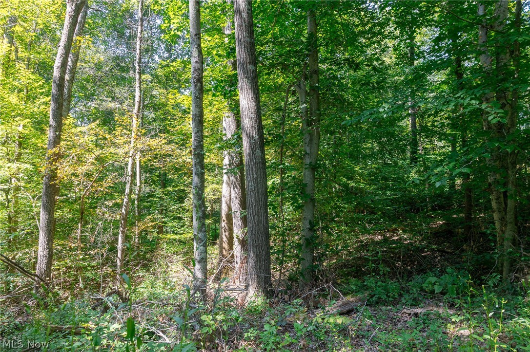 0 County Road Glouster, OH 45732 - Photo 15 of 24 Gallery Image 15