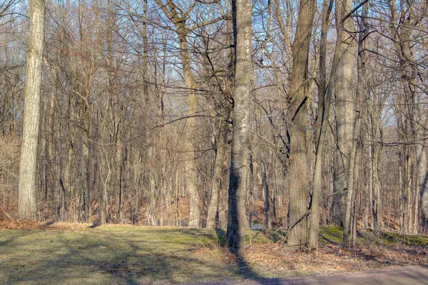 $464,900 | 47 Lovers Lane, Grand Isle, VT 05458