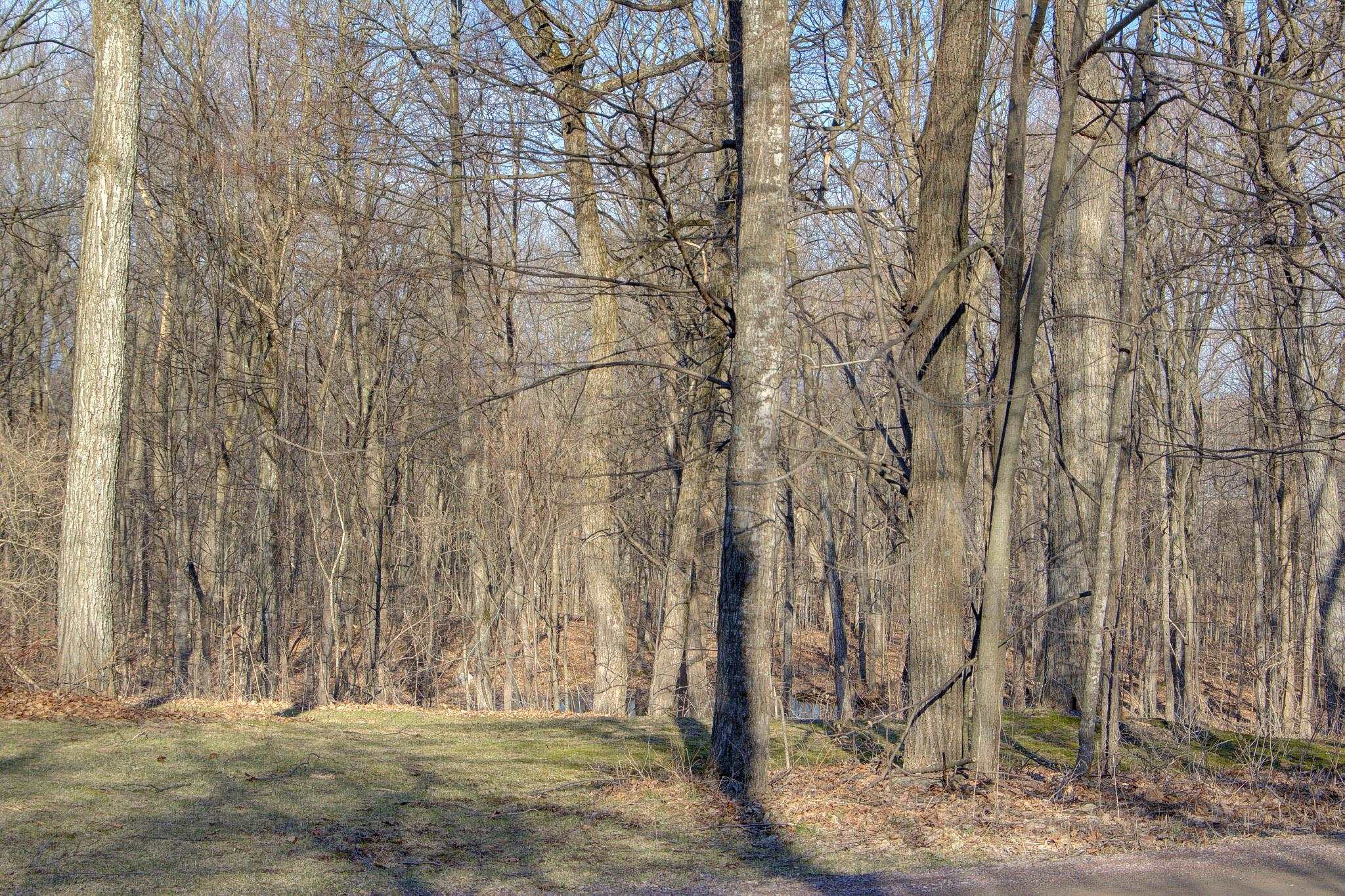 47 Lovers Lane Grand Isle, VT 05458 - Photo 11 of 51