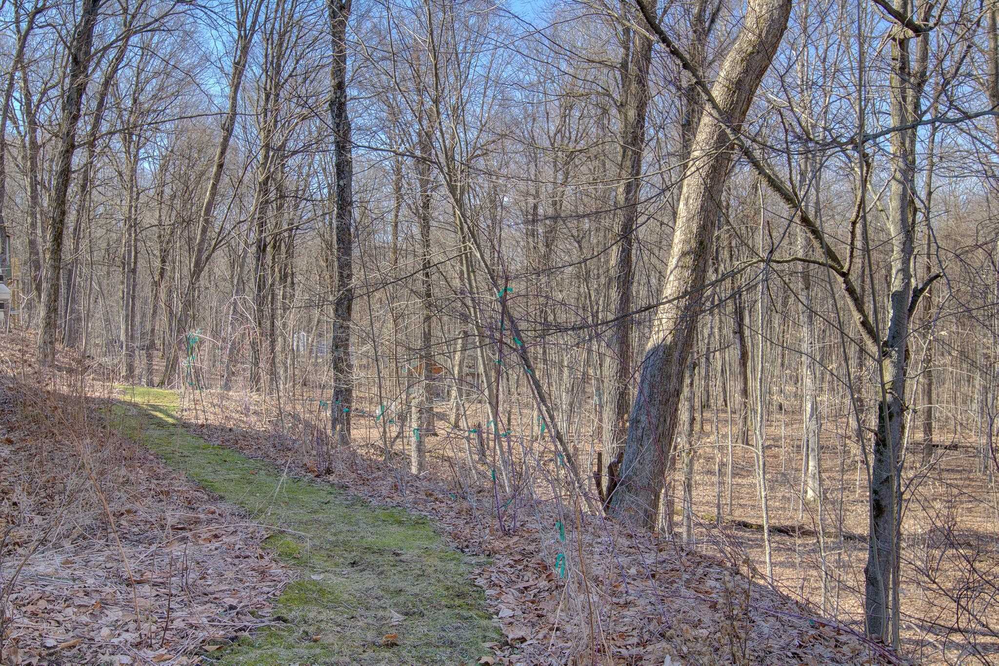 47 Lovers Lane Grand Isle, VT 05458 - Photo 9 of 51