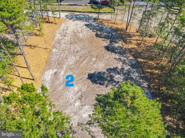 a view of a yard with trees