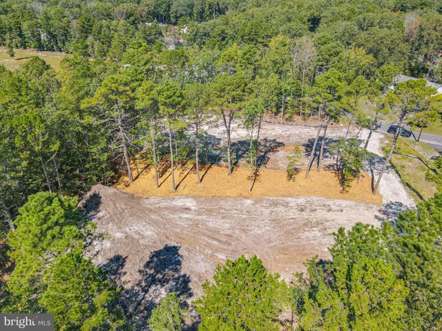 a view of water tree