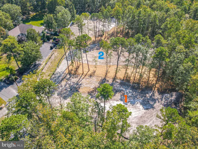 a view of a dry yard with lots of green space