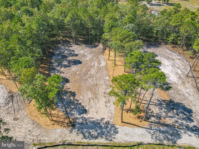 a view of a yard with plants and large trees