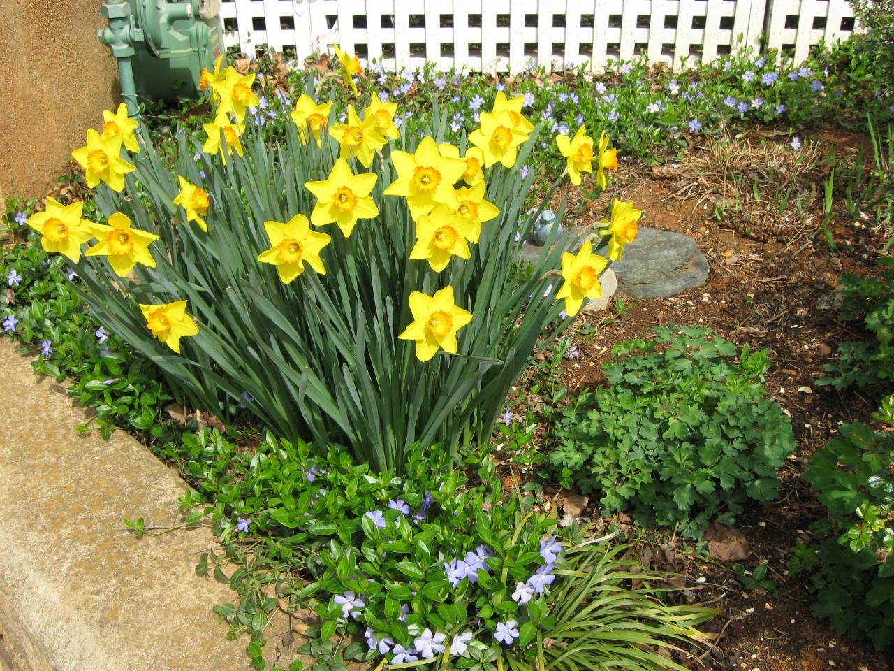 1915 Sheffield Road Southwest Roanoke, VA 24015 - Photo 17 of 31 Spring has sprung