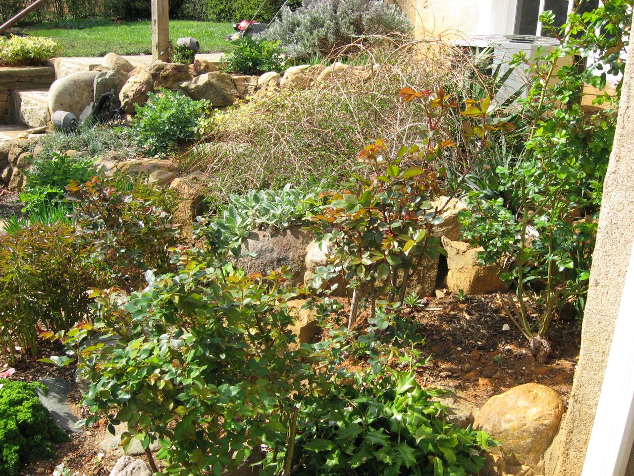 1915 Sheffield Road Southwest Roanoke, VA 24015 - Photo 22 of 31 Garden Space