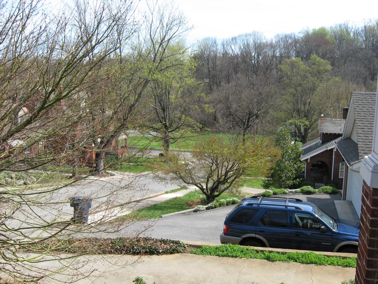 1915 Sheffield Road Southwest Roanoke, VA 24015 - Photo 4 of 31 View from porch