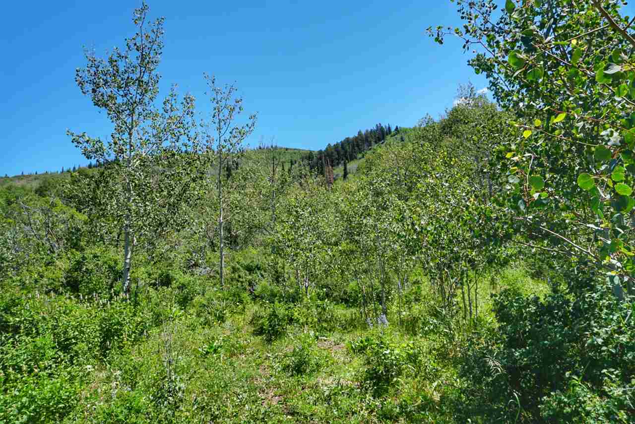 Tbd 59 Road Collbran, CO 81624 - Photo 11 of 19 Gallery Image 11