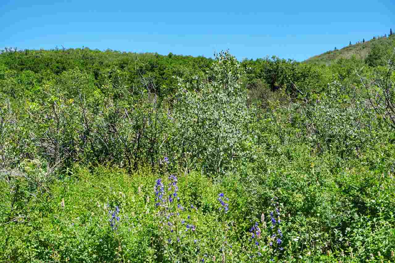 Tbd 59 Road Collbran, CO 81624 - Photo 13 of 19 Gallery Image 13