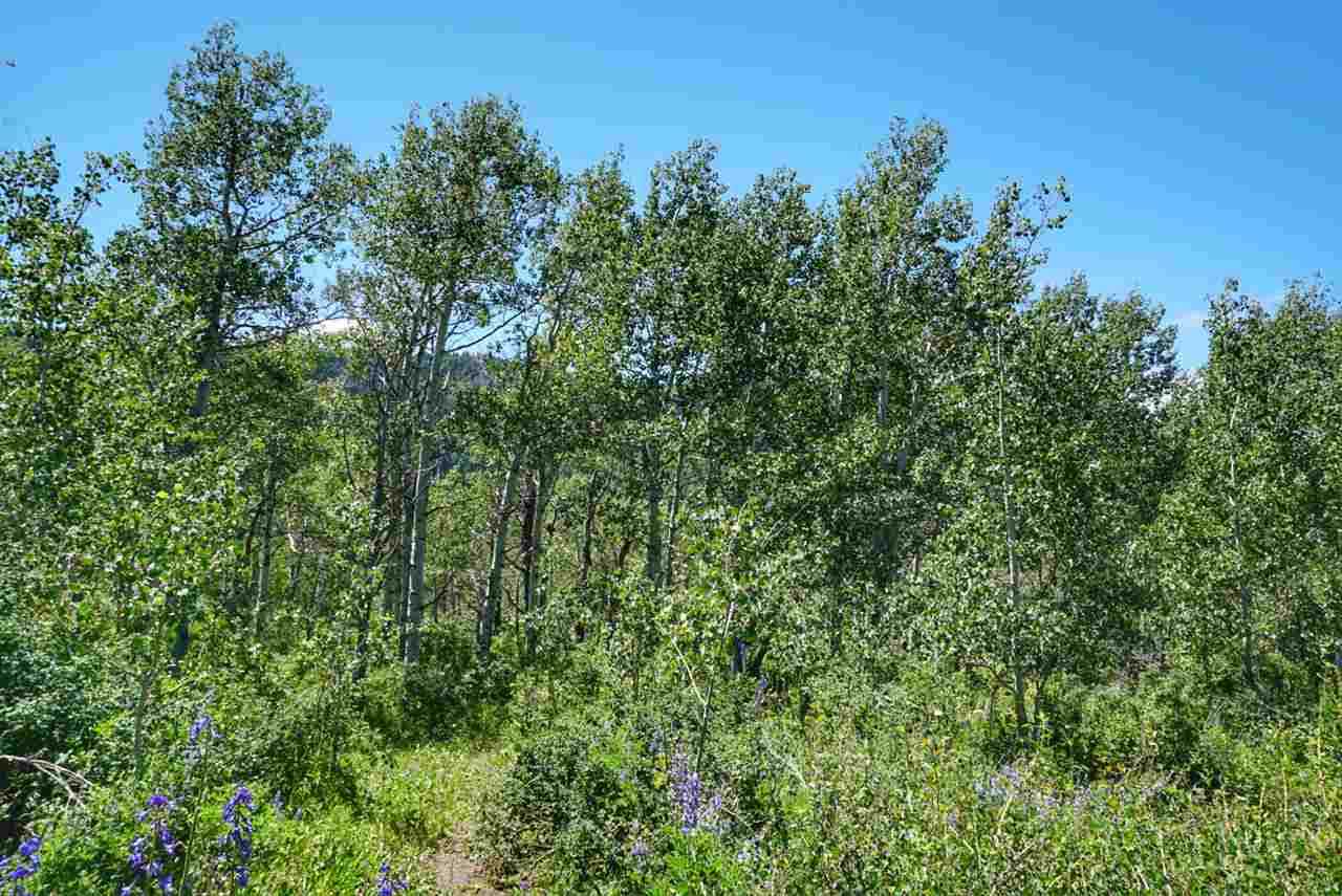 Tbd 59 Road Collbran, CO 81624 - Photo 14 of 19 Gallery Image 14