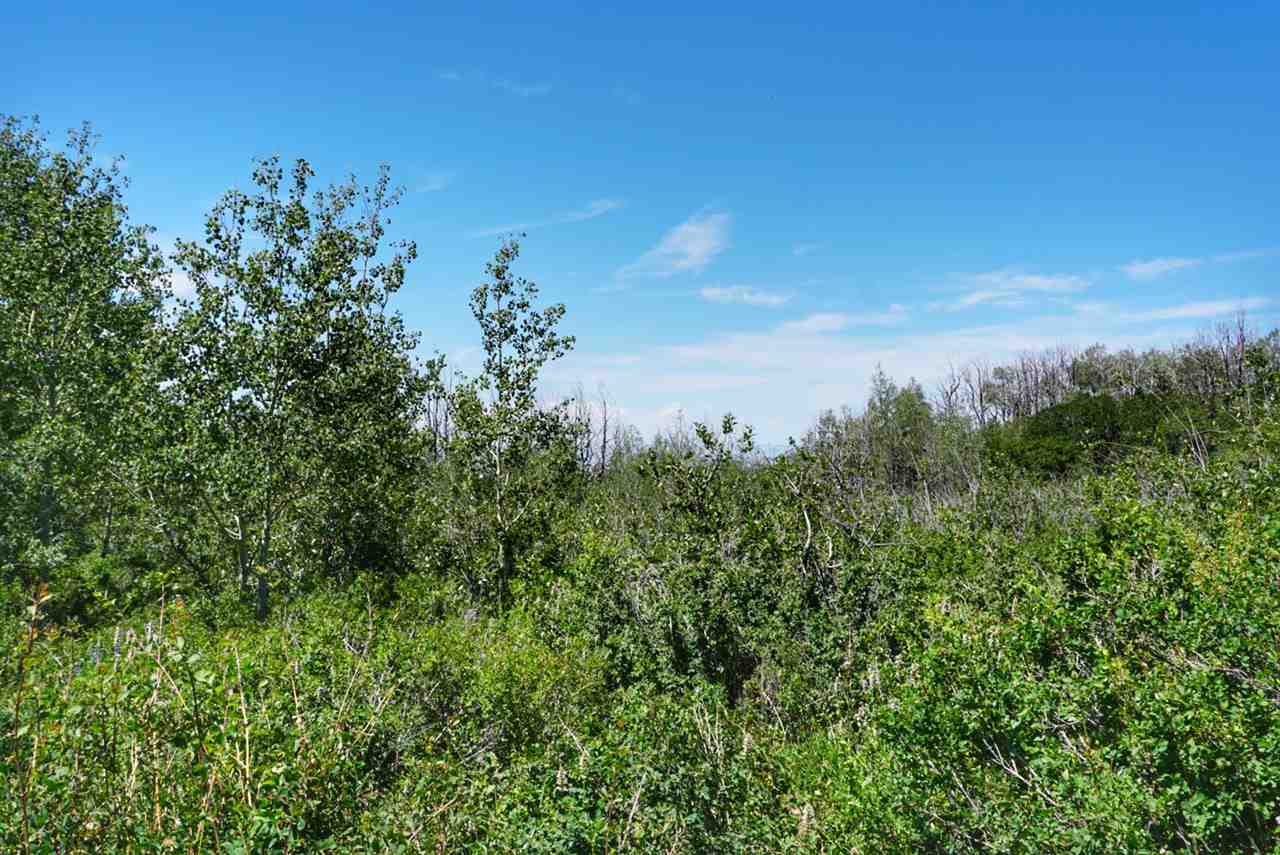 Tbd 59 Road Collbran, CO 81624 - Photo 15 of 19 Gallery Image 15