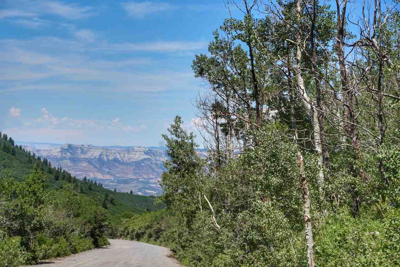 Tbd 59 Road Collbran, CO 81624 - Photo 18 of 19 Gallery Image 18