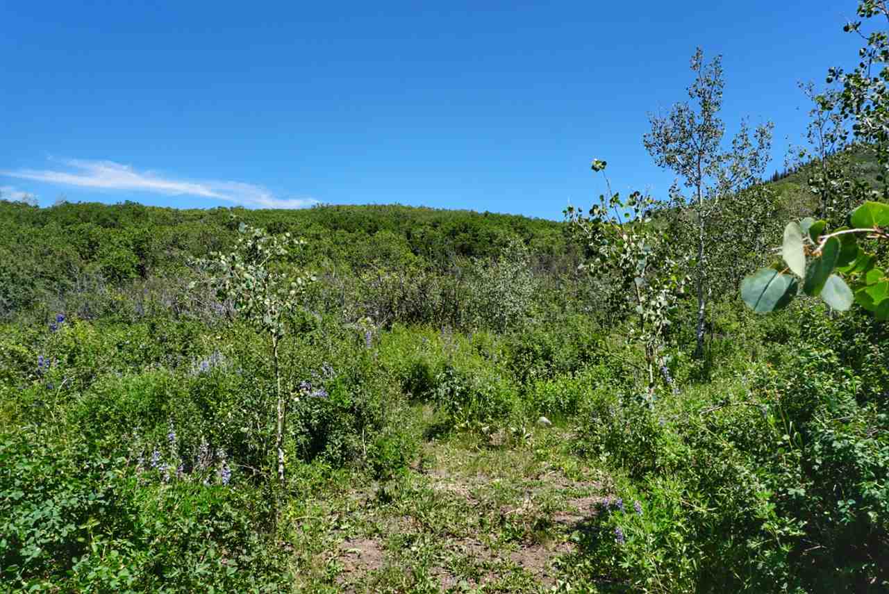 Tbd 59 Road Collbran, CO 81624 - Photo 2 of 19 Gallery Image 2
