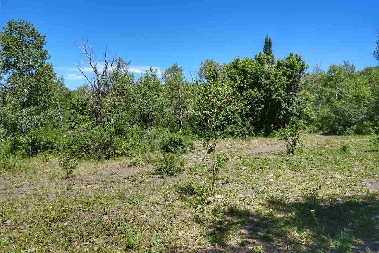 Tbd 59 Road Collbran, CO 81624 - Photo 3 of 19 Gallery Image 3