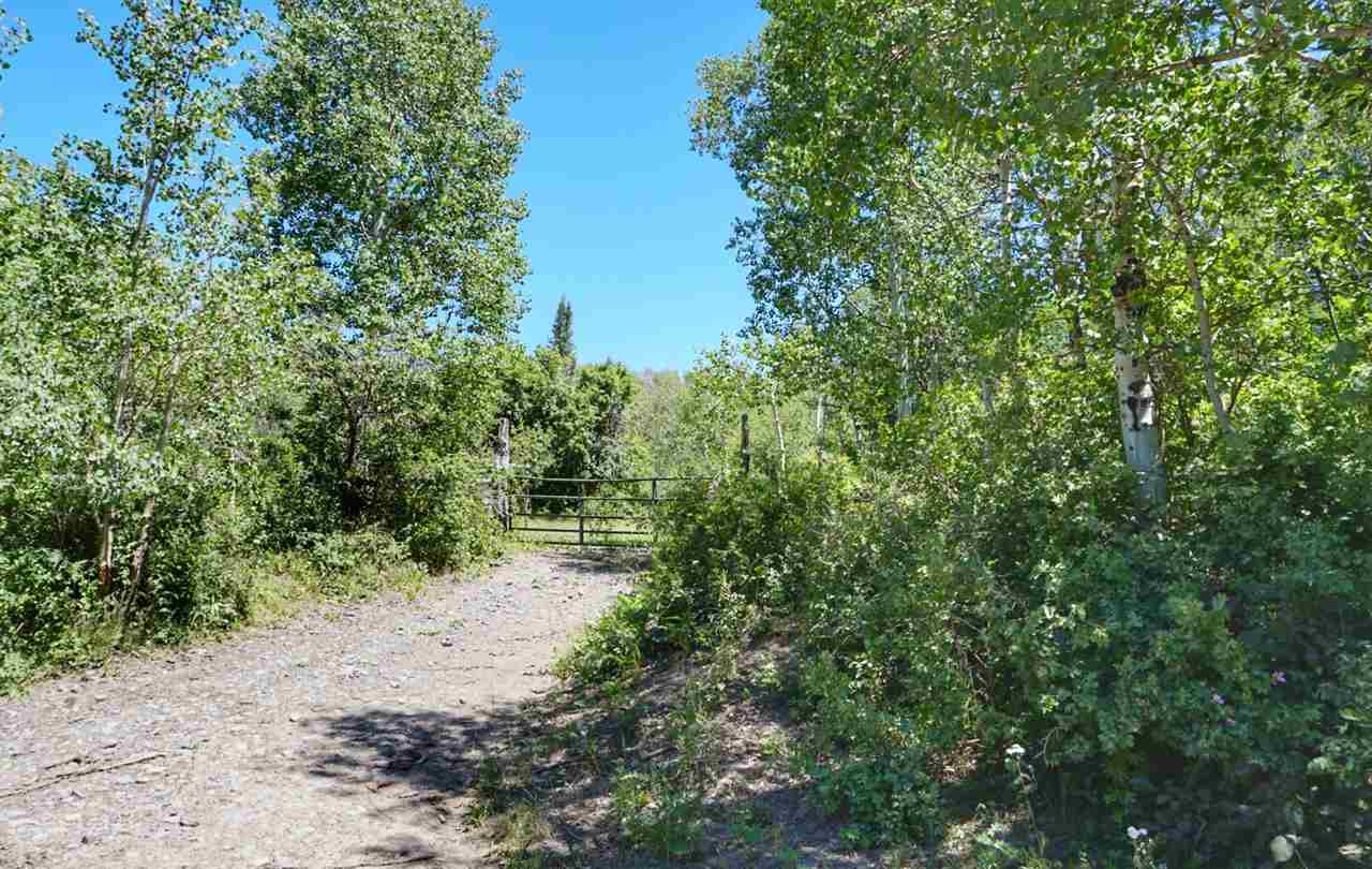 Tbd 59 Road Collbran, CO 81624 - Photo 4 of 19 Gallery Image 4