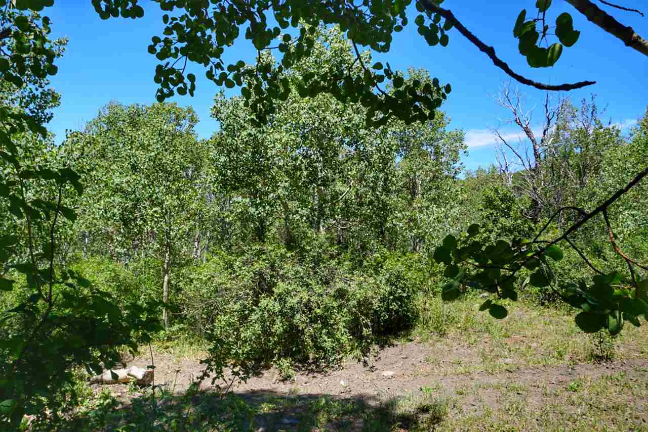Tbd 59 Road Collbran, CO 81624 - Photo 7 of 19 Gallery Image 7