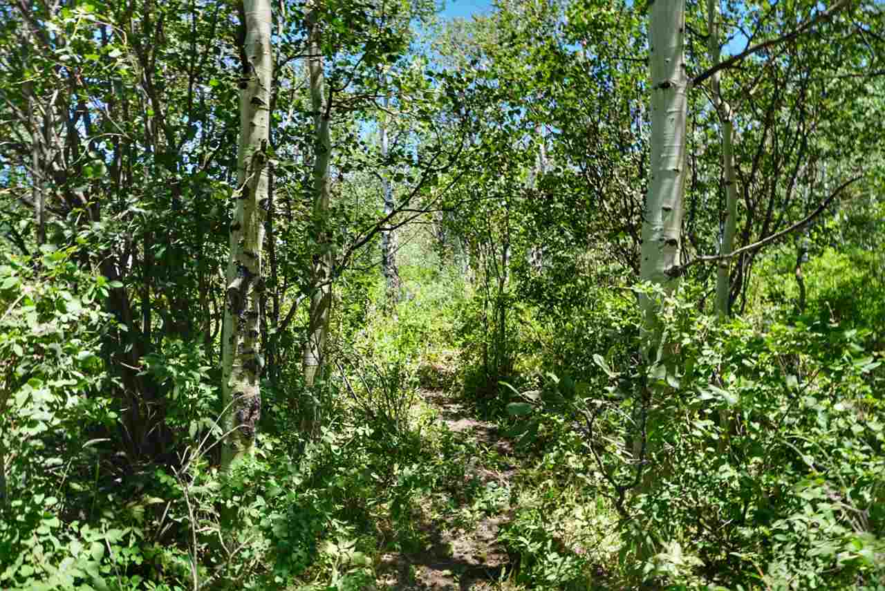 Tbd 59 Road Collbran, CO 81624 - Photo 8 of 19 Gallery Image 8