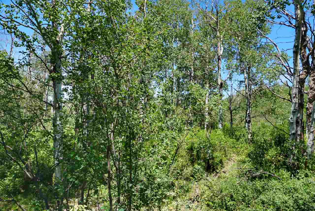Tbd 59 Road Collbran, CO 81624 - Photo 9 of 19 Gallery Image 9
