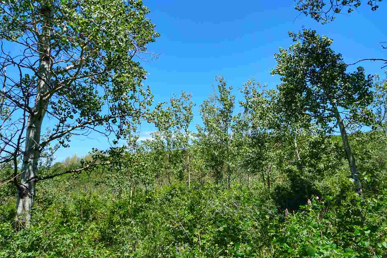Tbd 59 Road Collbran, CO 81624 - Photo 10 of 19 Gallery Image 10