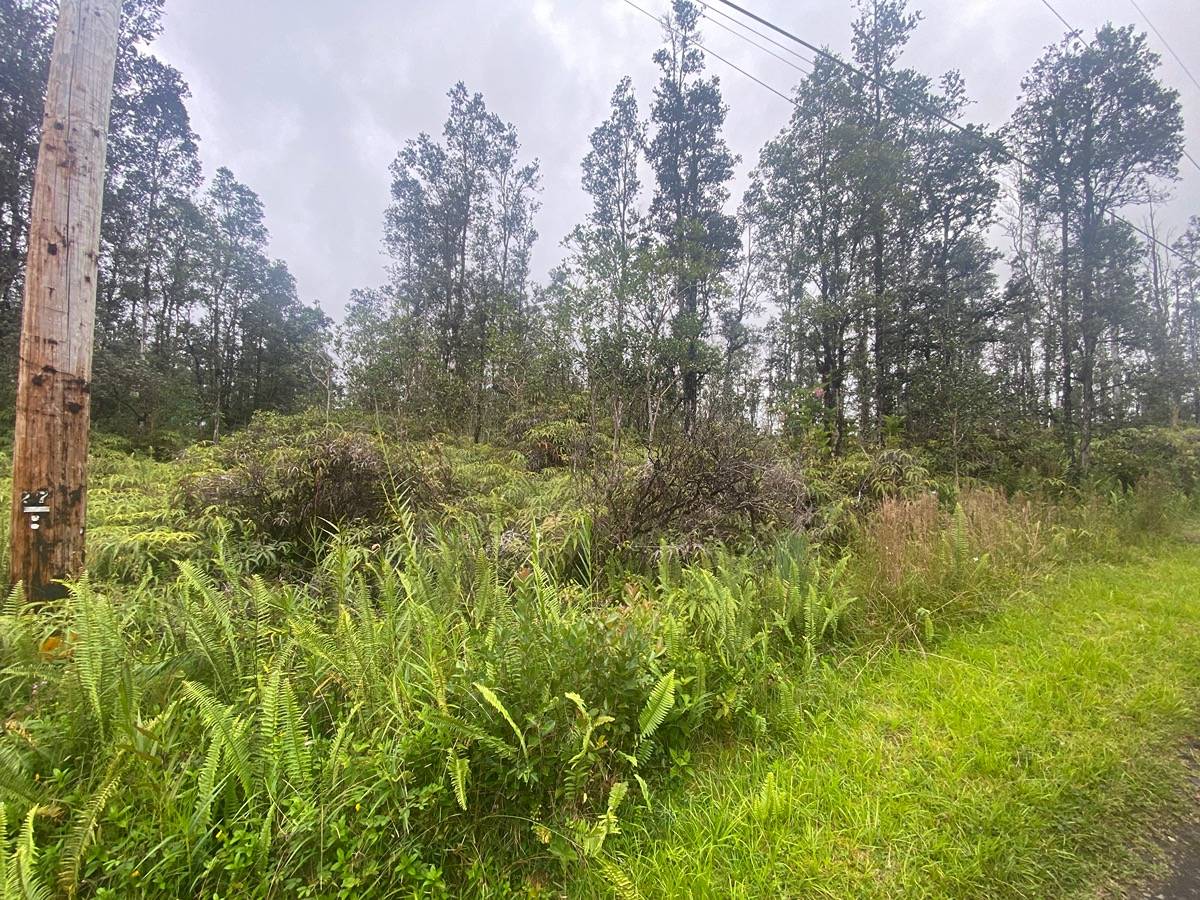 16-1636 Lot 3817 Uau Rd