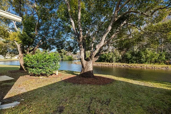a view of a lake with a big yard