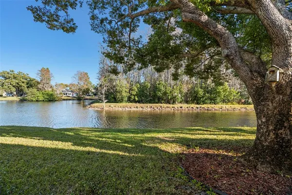 an aerial view of a house with lake view