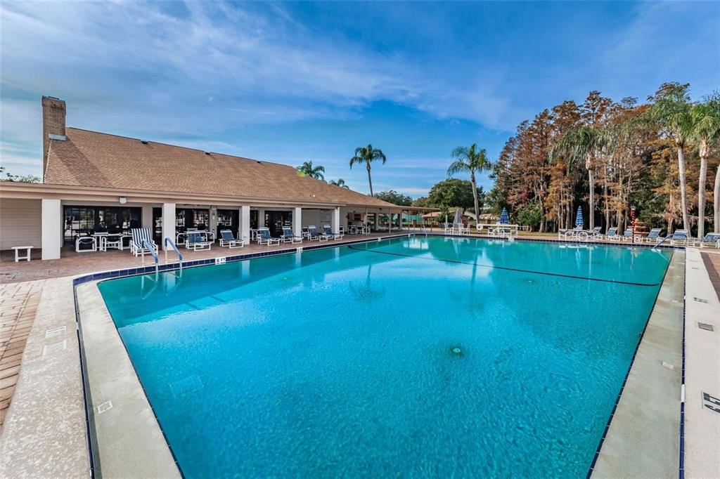 4730 Sheffield Drive New Port Richey, FL 34655 - Photo 39 of 53 a view of a house with pool