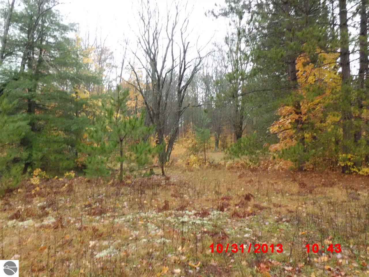 14417 Cinder Road Beulah, MI 49617 - Photo 9 of 10 1804753-8.JPG