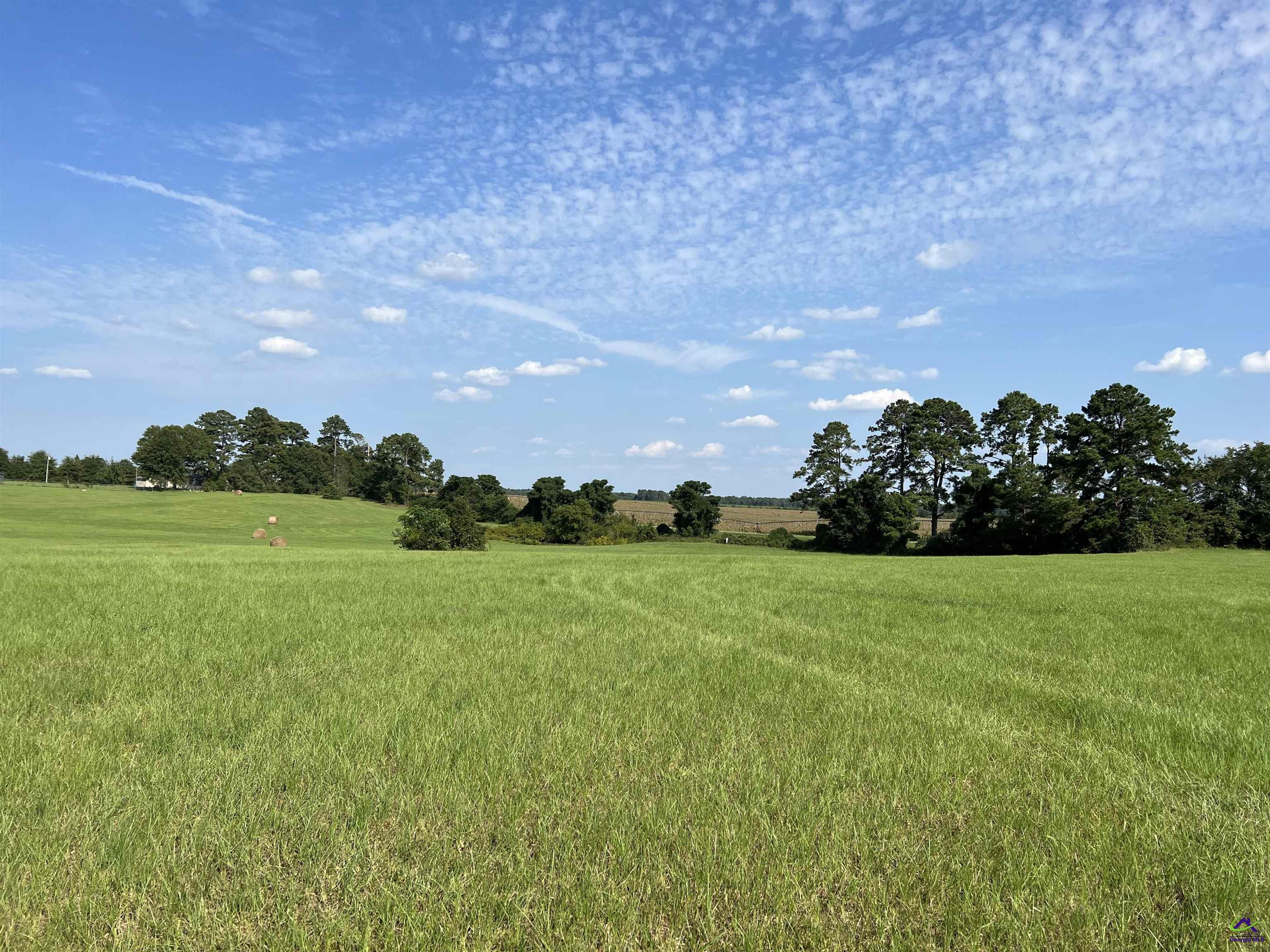 Red Dog Farm Road Cochran, GA 31014 - Photo 1 of 11