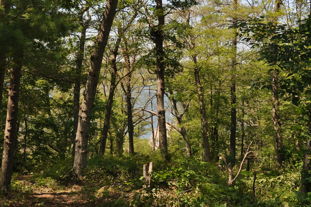 26 Uncas Road Gloucester, MA 01930 - Photo 1 of 1 Gallery Image 1