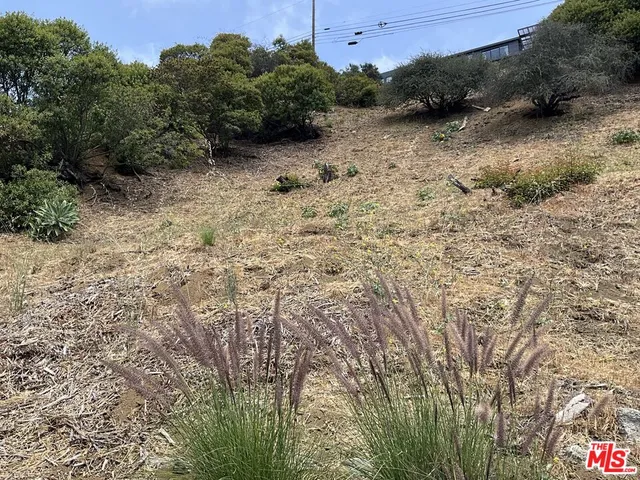 a view of a dry yard with wooden fence