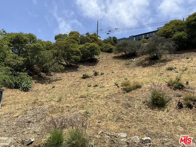 a view of a bunch of trees and bushes