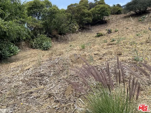a view of a yard with plants and wooden fence