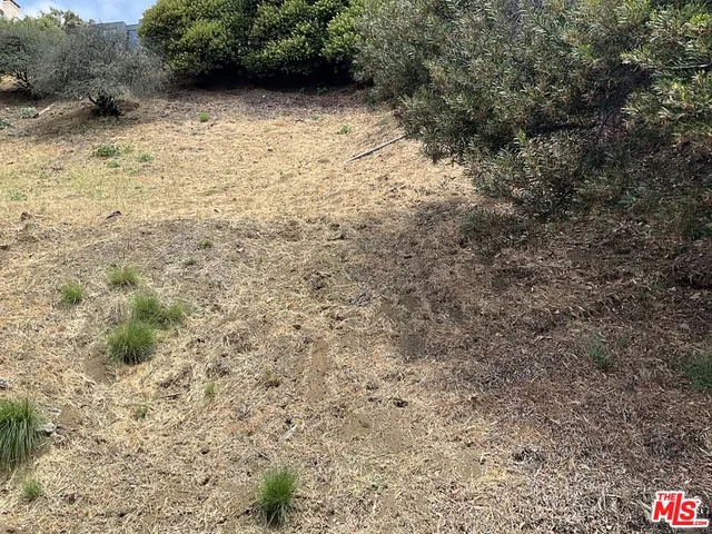 a view of backyard with green space