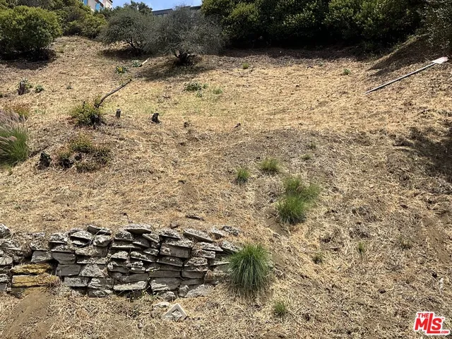 a view of a yard with plants and wooden fence