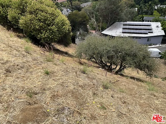 a view of a dry yard with wooden fence